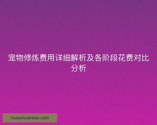 宠物修炼费用详细解析及各阶段花费对比分析